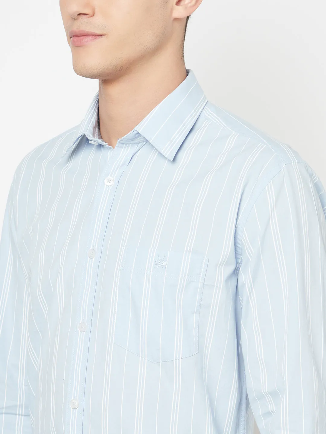 Blue Striped Shirt