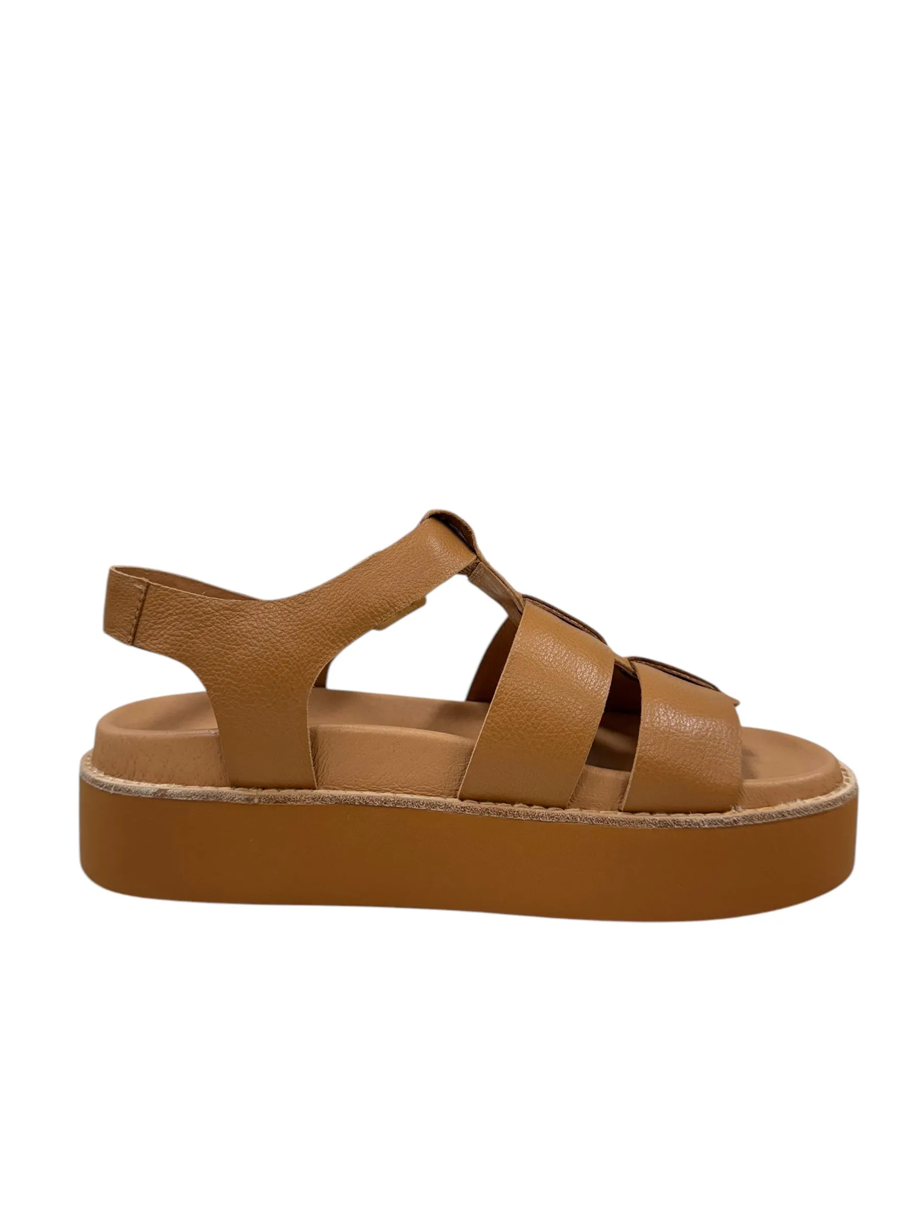 Gonal - Dark Tan