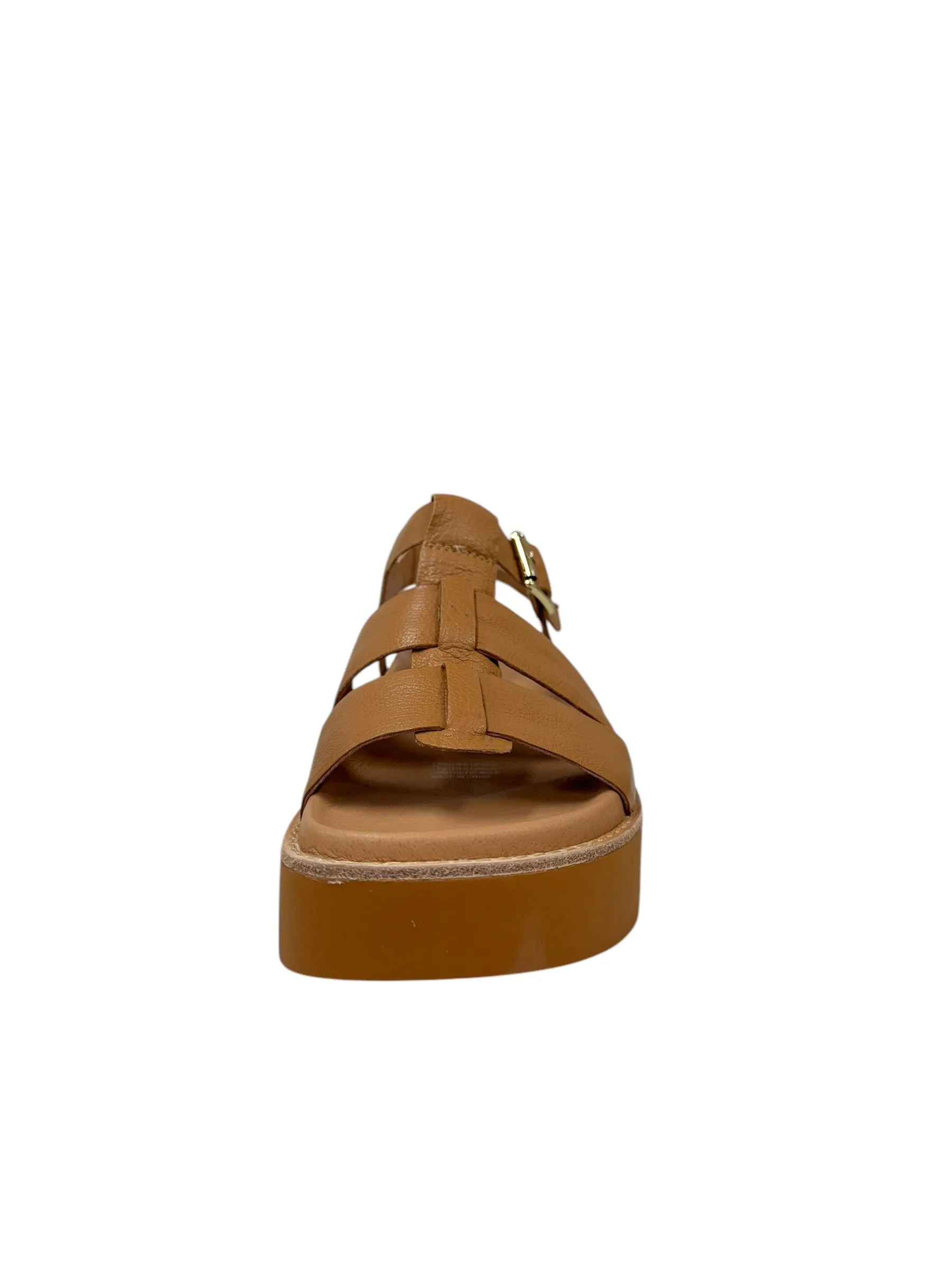 Gonal - Dark Tan