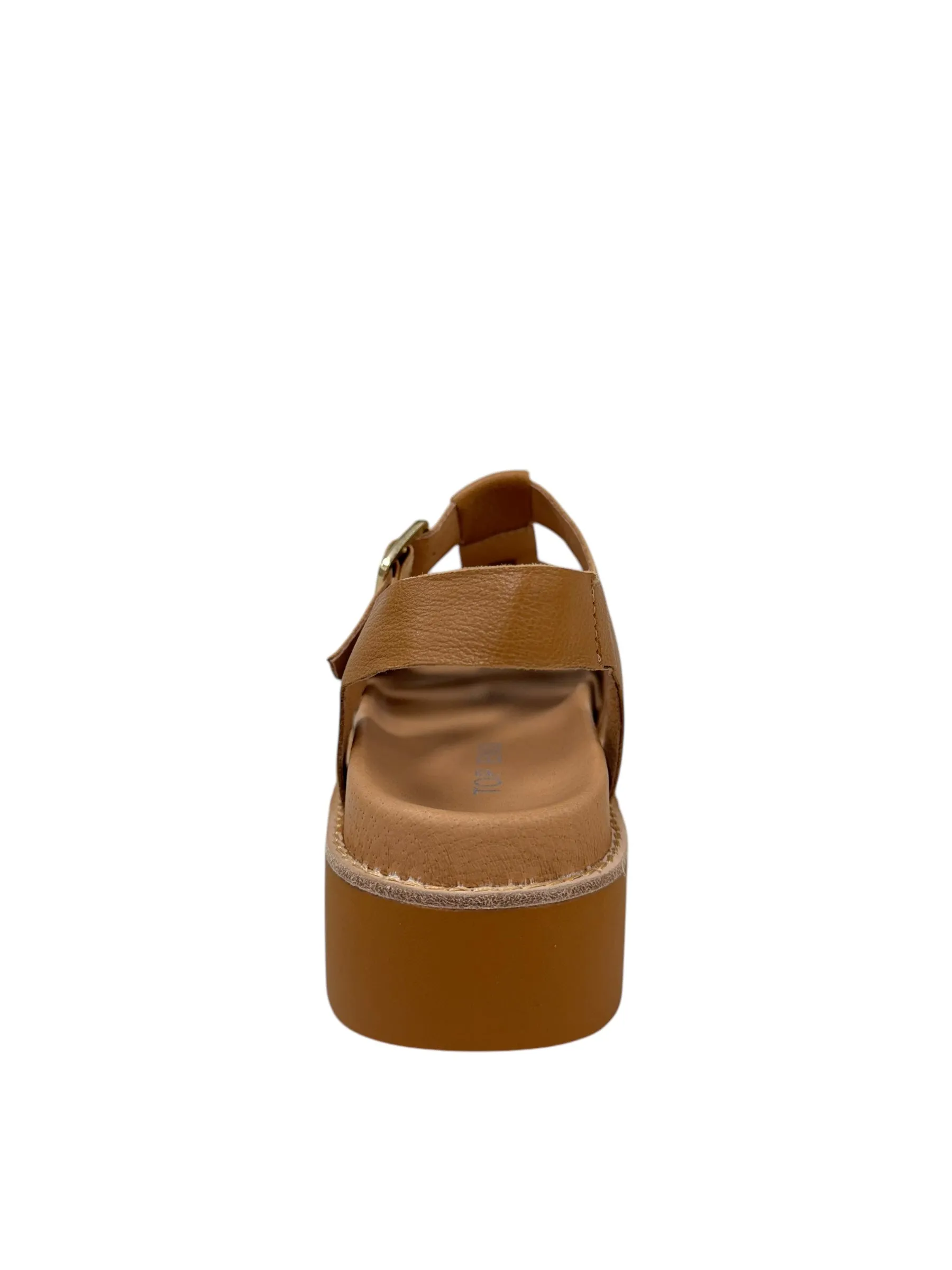 Gonal - Dark Tan
