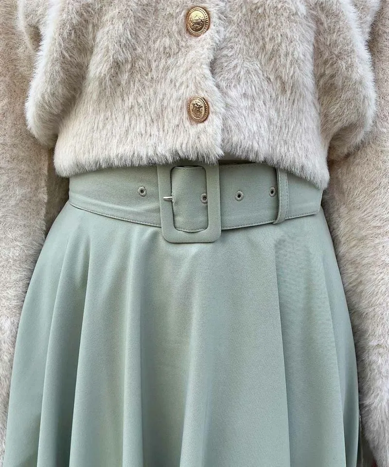 Pannier Circular Skirt / an another angelus [53BG03p004].